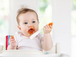 Unpacking the Benefits and Features of Cerebelly Baby Food: A Nutritional Powerhouse for Your Little One